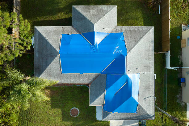 Best Metal Roofing Installation  in Wheeler Af, HI