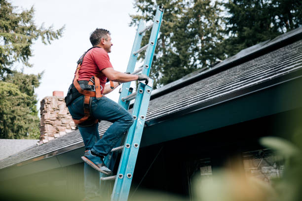 Best Skylight Installation and Repair  in Wheeler Af, HI